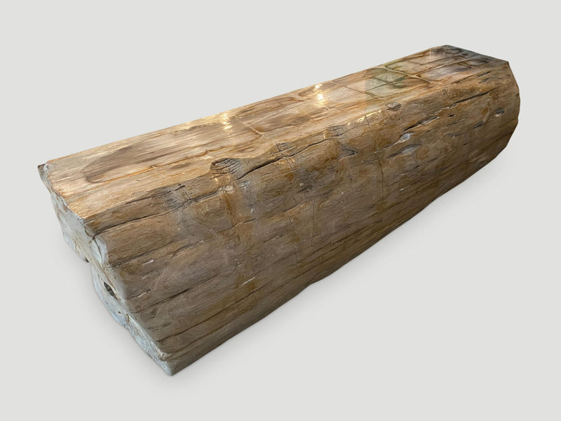 Rare Petrified Wood Log Bench