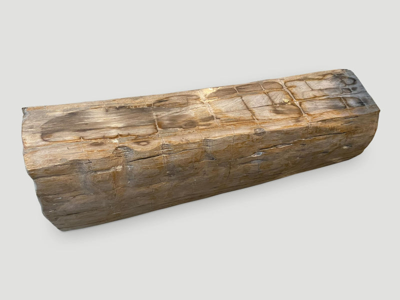 Rare Petrified Wood Log Bench
