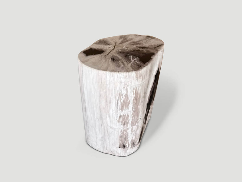 Exquisite Petrified Wood Side Table