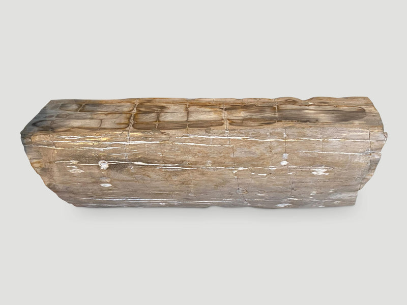 Rare Petrified Wood Log Bench