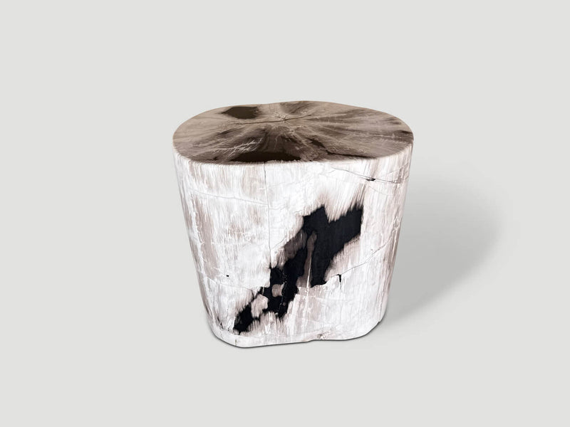 Exquisite Petrified Wood Side Table