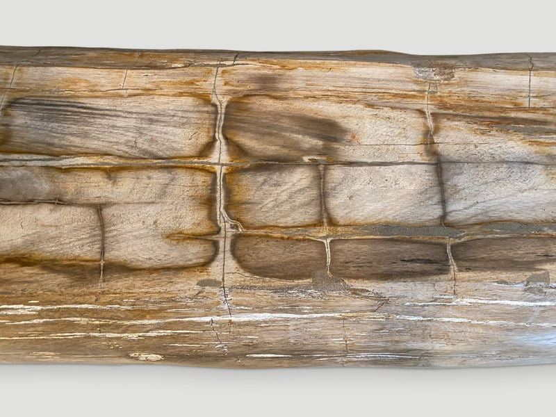 Rare Petrified Wood Log Bench