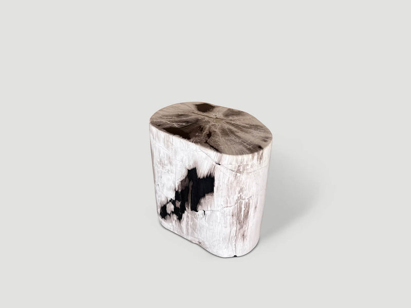 Exquisite Petrified Wood Side Table