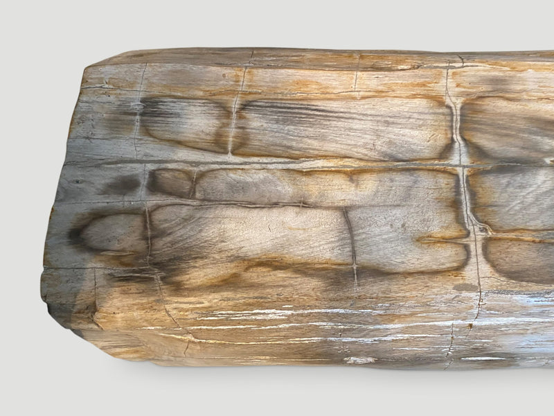 Rare Petrified Wood Log Bench