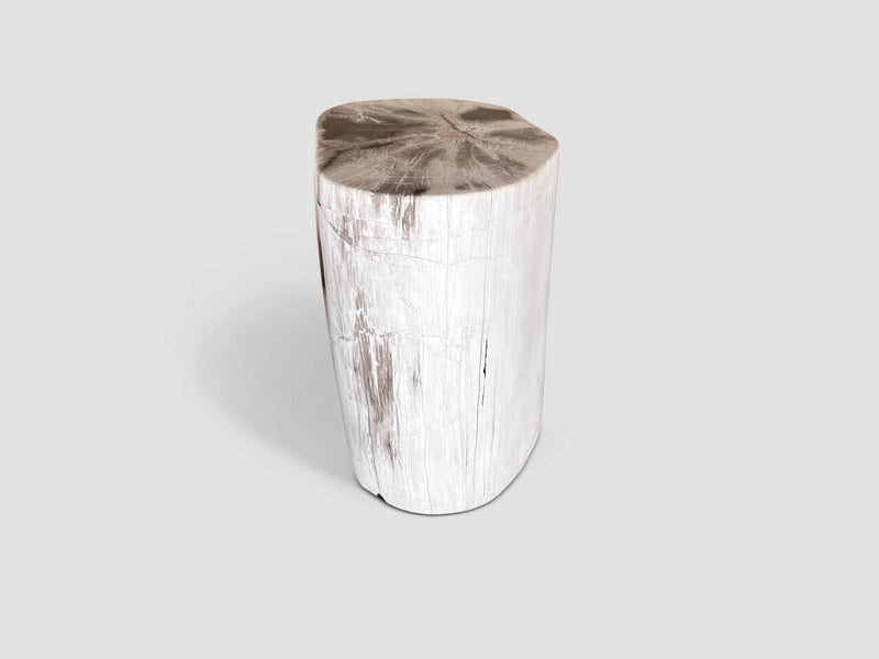 Exquisite Petrified Wood Side Table