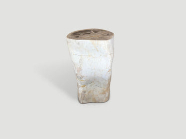 Modern Organic Minimalist Petrified Wood Side Table