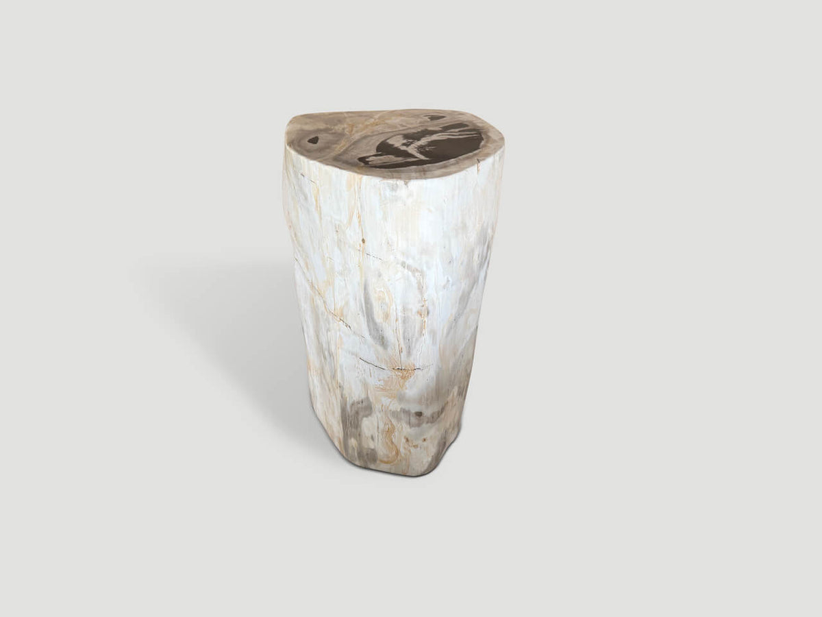 Modern Organic Minimalist Petrified Wood Side Table