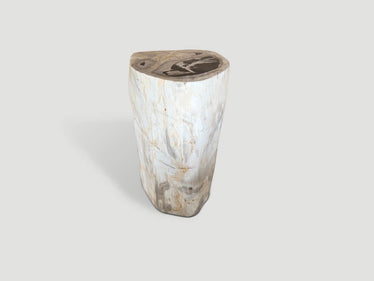 Modern Organic Minimalist Petrified Wood Side Table