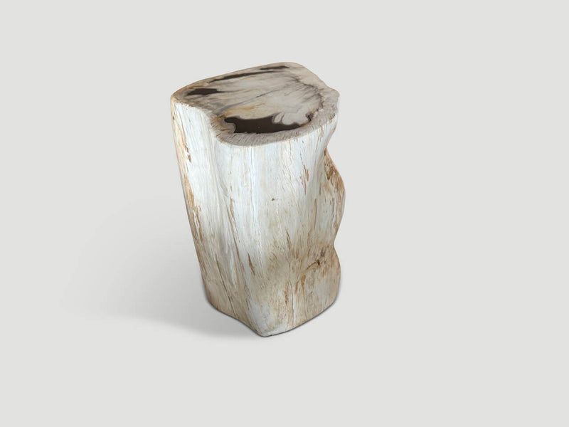 Modern Organic Minimalist Petrified Wood Side Table