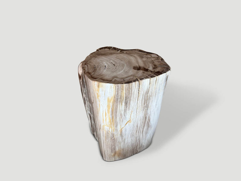 Ancient Petrified Wood Side Table