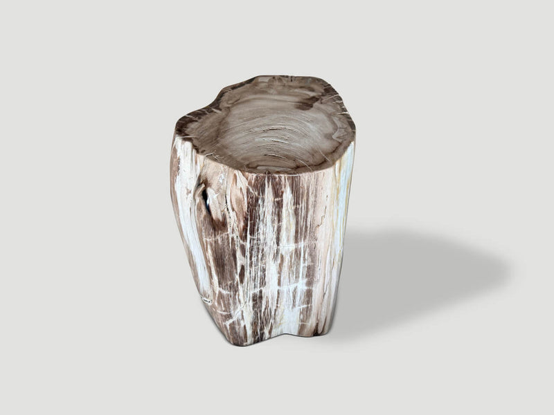 Ancient Petrified Wood Side Table