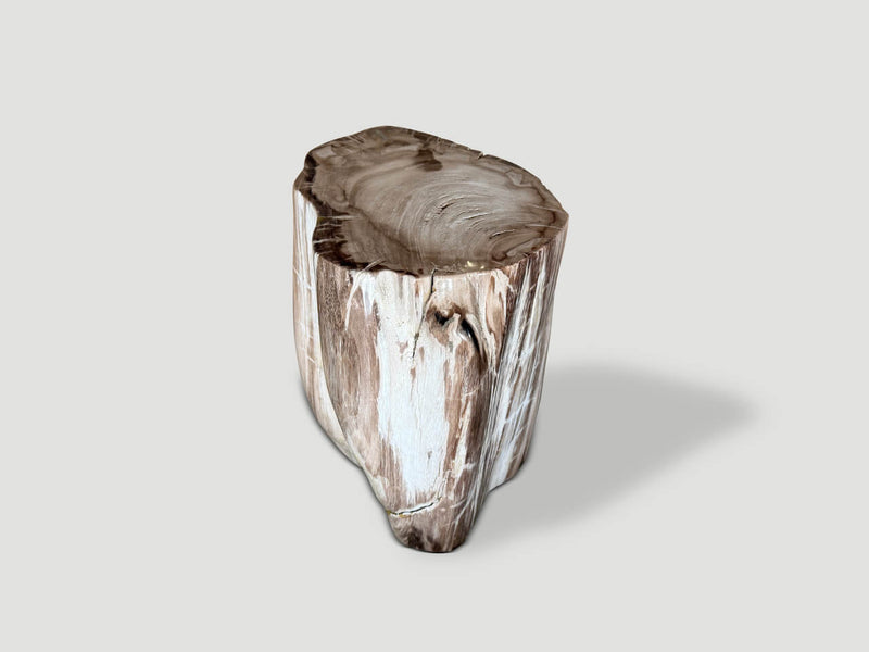 Ancient Petrified Wood Side Table