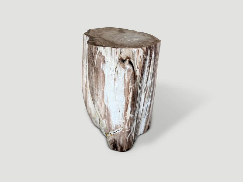 Ancient Petrified Wood Side Table