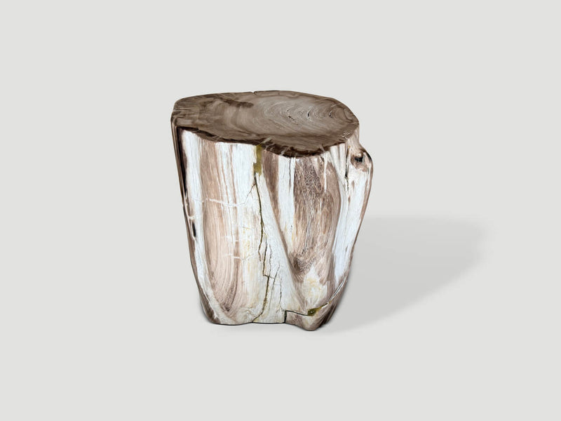 Ancient Petrified Wood Side Table