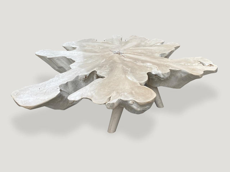 Amorphous Bleached Teak Mid Century Style Coffee Table