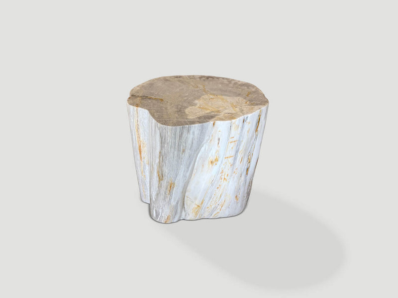 Modern Organic Minimalist Petrified Wood Side Table