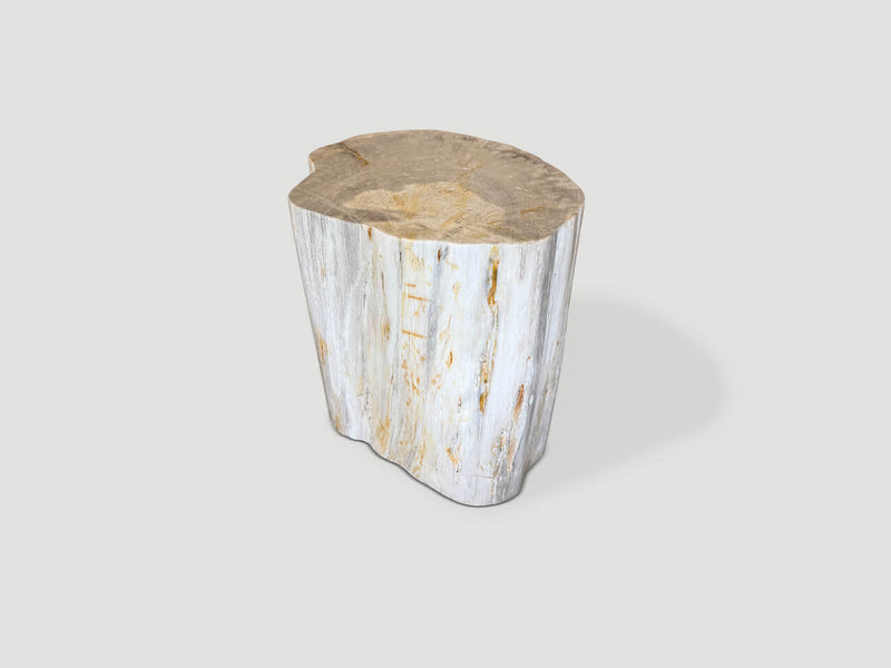 Modern Organic Minimalist Petrified Wood Side Table