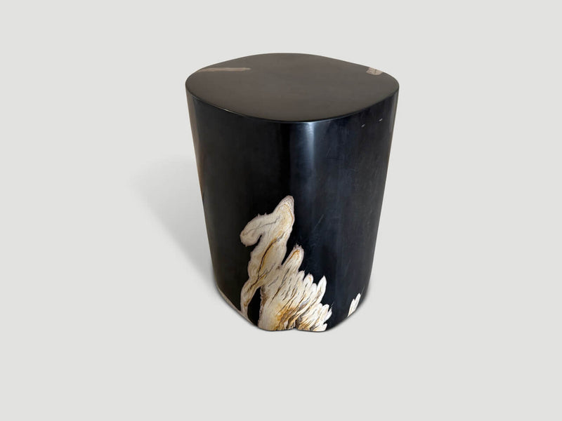 Exquisite Super Smooth Petrified Wood Side Table