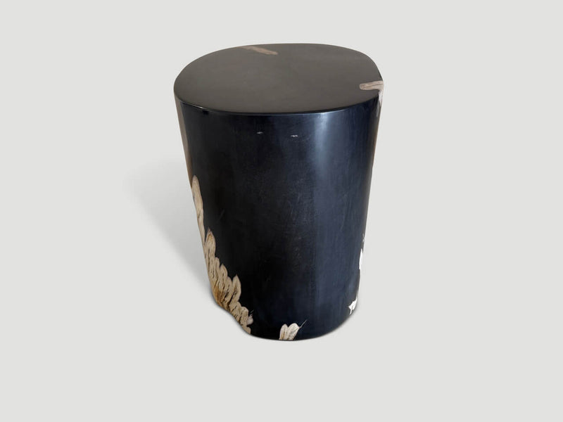 Exquisite Super Smooth Petrified Wood Side Table