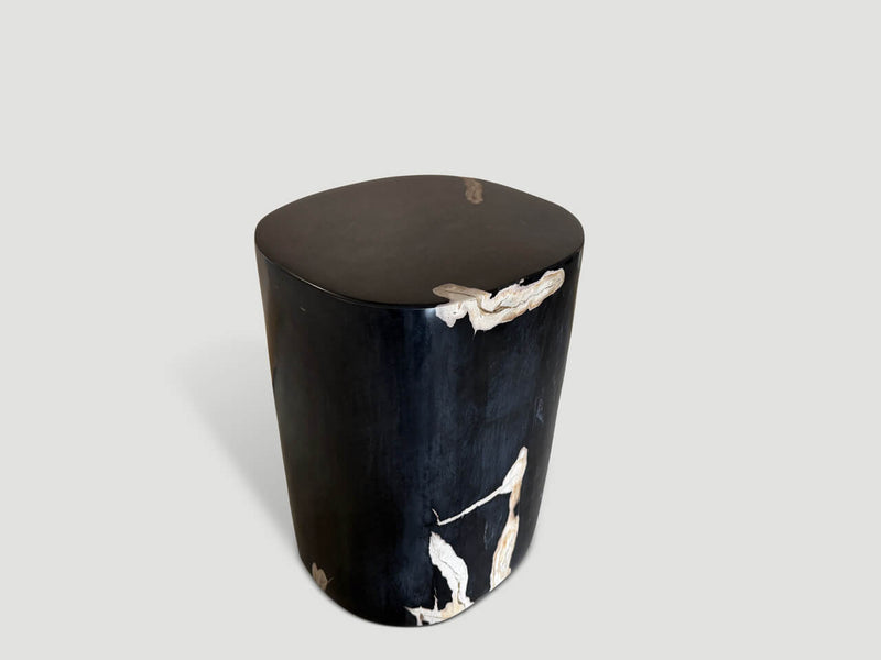 Exquisite Super Smooth Petrified Wood Side Table