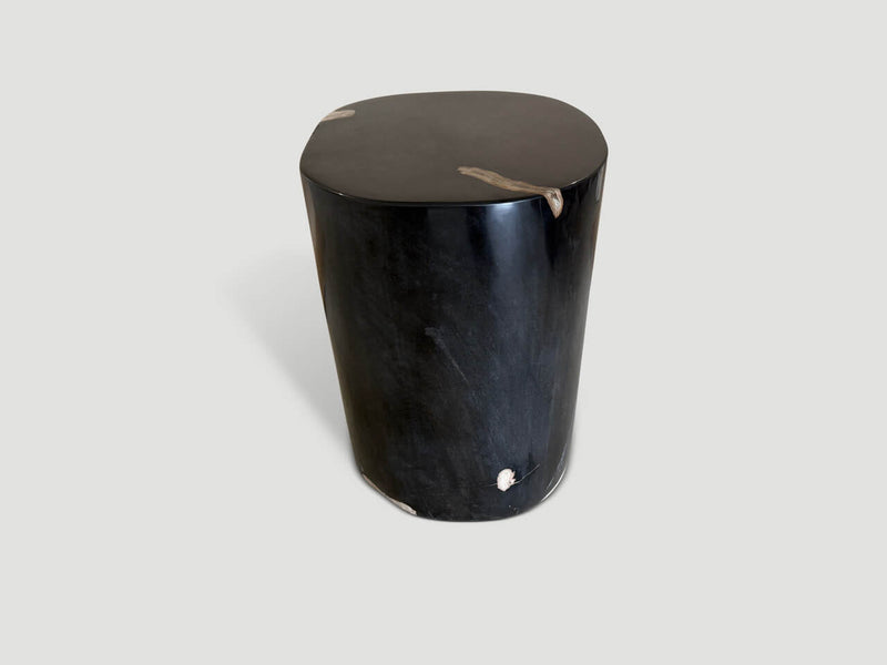 Exquisite Super Smooth Petrified Wood Side Table