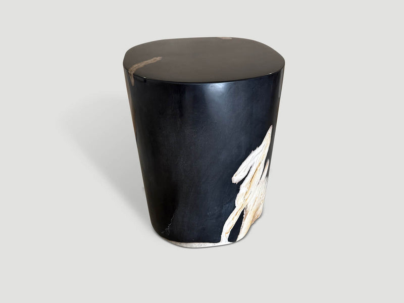 Exquisite Super Smooth Petrified Wood Side Table