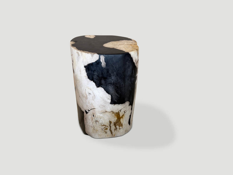 Modern Organic Ancient Petrified Wood Side Table