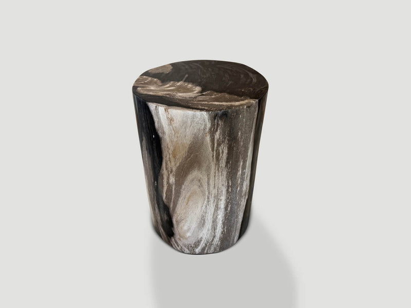 Modern Organic Super Smooth Petrified Wood Side Table