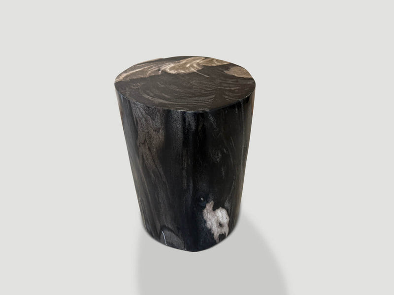 Modern Organic Super Smooth Petrified Wood Side Table