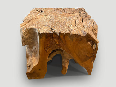 Impressive Organic Teak Side Table or Pedestal