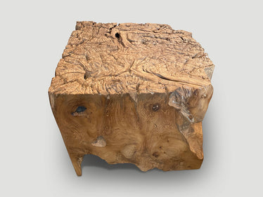 Impressive Organic Teak Side Table or Pedestal