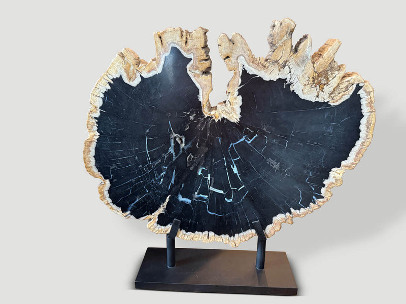 Impressive Rare Petrified Wood Sculpture on Stand