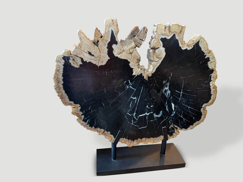 Impressive Rare Petrified Wood Sculpture on Stand