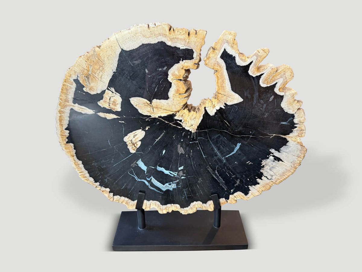 Impressive Rare Petrified Wood Sculpture on Stand