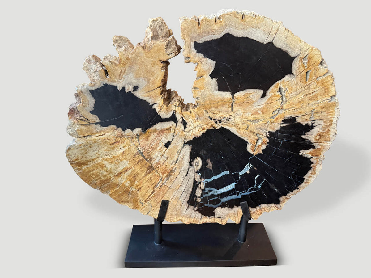 Impressive Rare Petrified Wood Sculpture on Stand