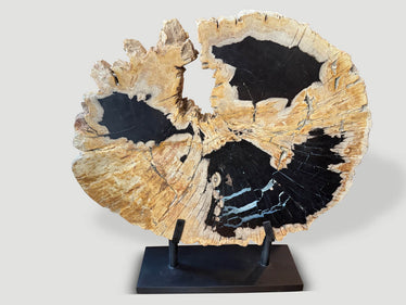 Impressive Rare Petrified Wood Sculpture on Stand