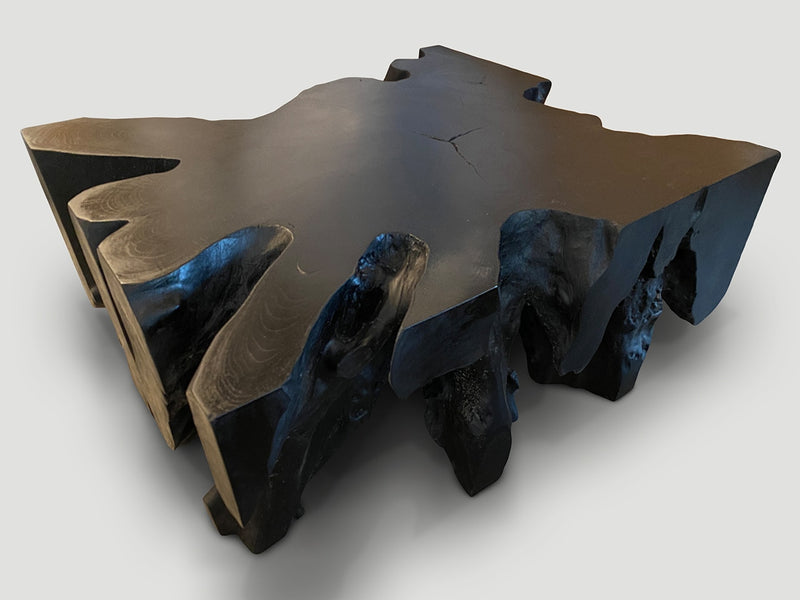 Impressive Charred Teak Wood Coffee Table or Console