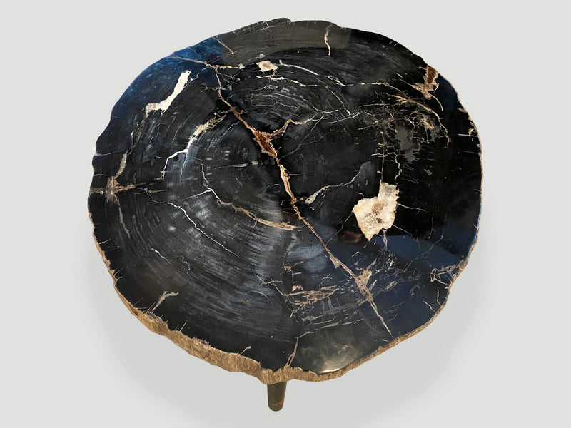 Impressive Rare Super High Quality Petrified Wood Coffee Table