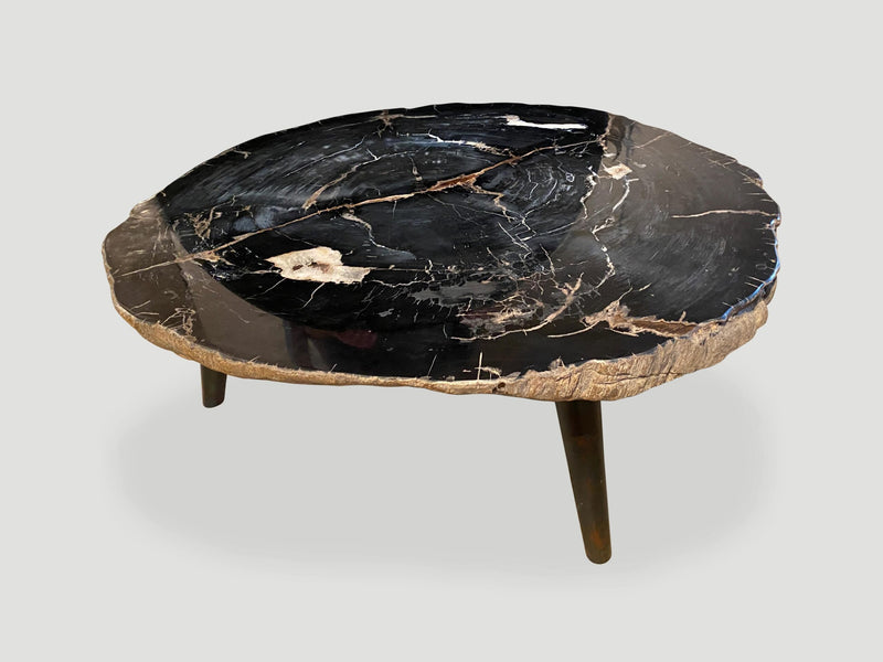 Impressive Rare Super High Quality Petrified Wood Coffee Table