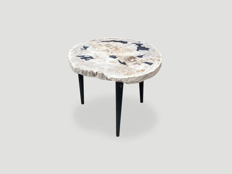 Petrified Wood Slab Table with Steel Base