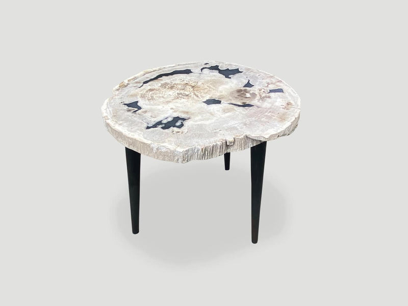 Petrified Wood Slab Table with Steel Base