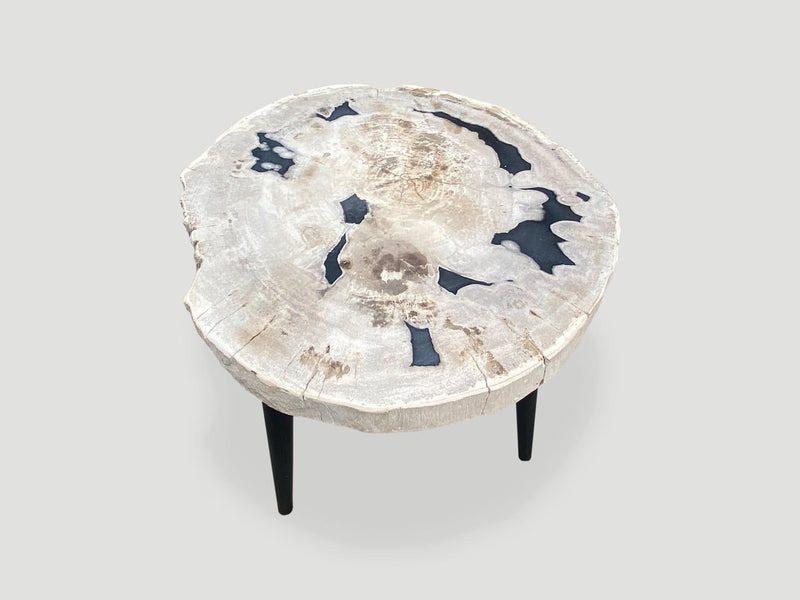 Petrified Wood Slab Table with Steel Base