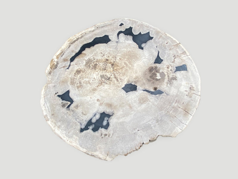 Petrified Wood Slab Table with Steel Base