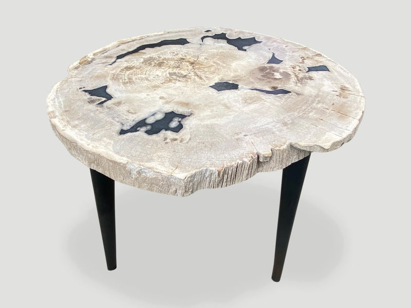 Petrified Wood Slab Table with Steel Base