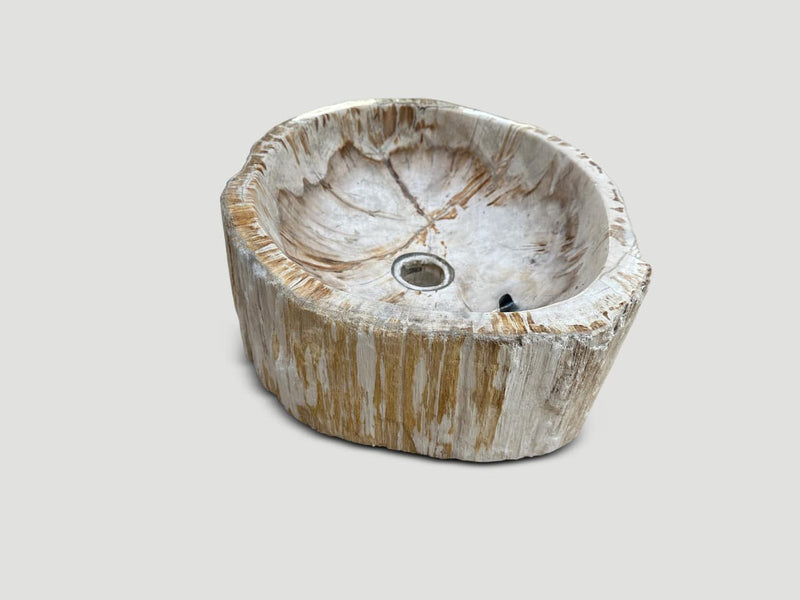 Petrified Wood Sink