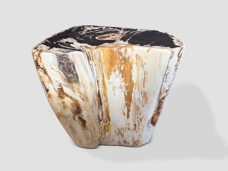 Modern Organic Petrified Wood Side Table