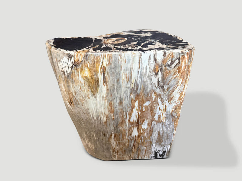 Modern Organic Petrified Wood Side Table