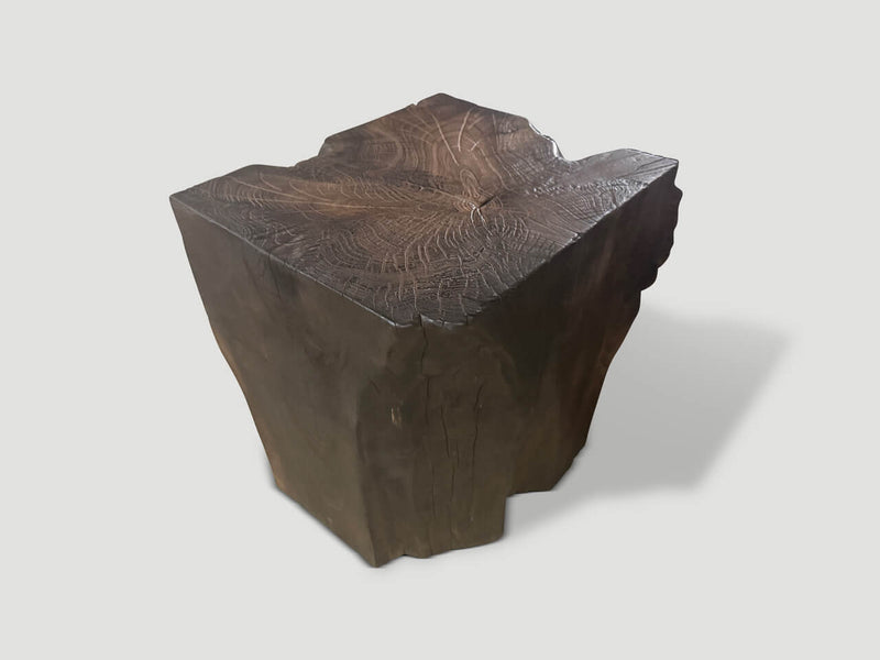 Modern Organic Charred Side Table