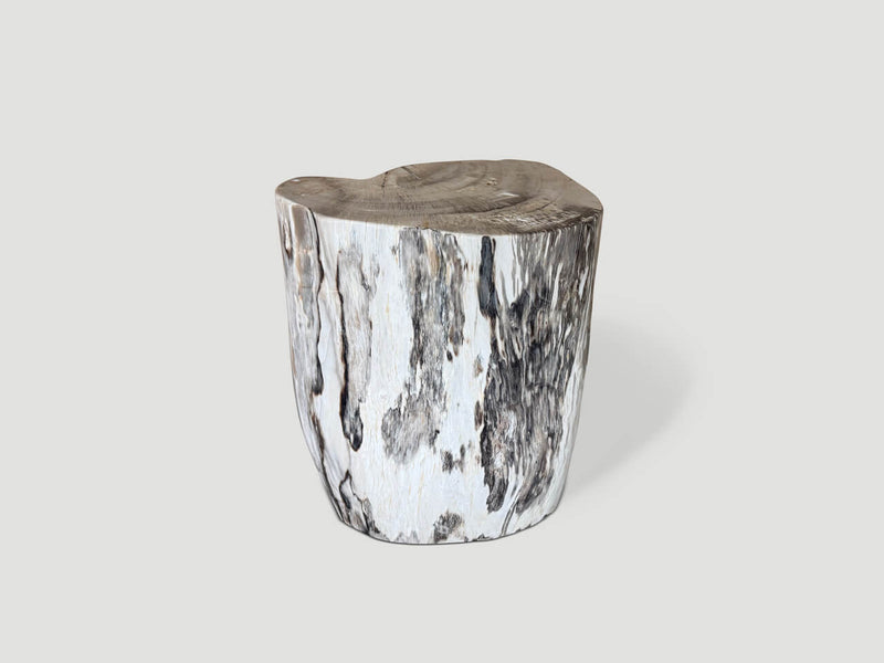 Modern Organic Minimalist Petrified Wood Side Table