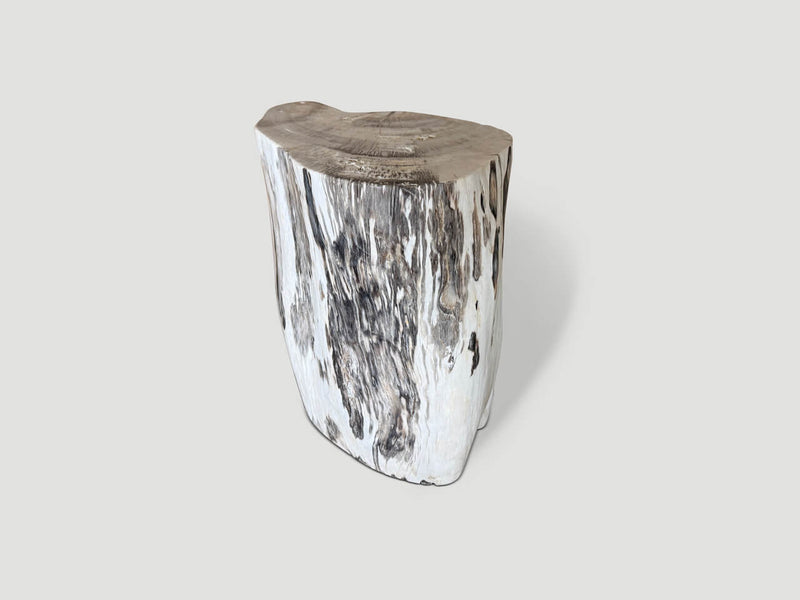 Modern Organic Minimalist Petrified Wood Side Table